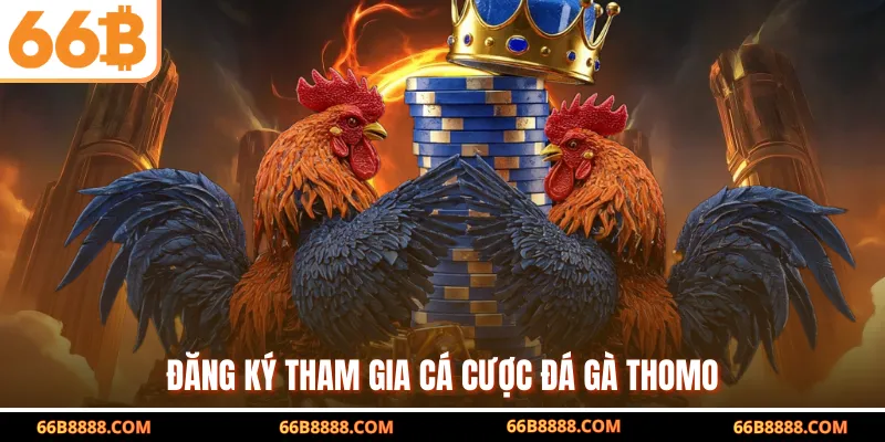 Đăng ký tham gia cá cược đá gà Thomo